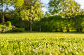 For levelling a bump in the lawn, dig out the excess soil until level with the surrounding area, tread down and fold the flaps of turf back over. How To Level Your Backyard For An Appealing Landscape 2021