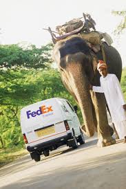 Fedex On Twitter Save The Elephants India Country India Culture