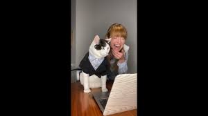 During a hearing on tuesday in texas' 394th judicial district court, a but here was rod ponton, a county attorney in presidio county, texas, unable to figure out how to turn off the cat filter on his zoom call during a. Who Owns Lawyer Cat Or The Legal And Intellectual Property Implications Of A Viral Video