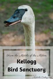 From The Middle Of The Mitten Kellogg Bird Sanctuary Field Trip Beautiful Places To Visit Sanctuary