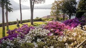 901 likes · 85 were here. Domani L Apertura 2021 Del Parco Del Grumello La Natura In Citta Ciaocomo