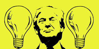 One glowing compact fluorescent light bulb standing out from the unlit incandescent light bulbs. Led Light Bulbs Led Vs Incandescent Trump And Light Bulbs