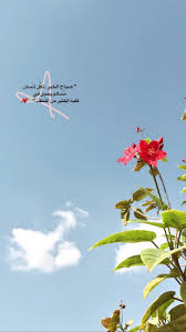 صباح النور والنوير واوراق الشجر والطير صباح الخير يا حلوة Morning Quotes Images Sweet Love Quotes Quotes About Photography