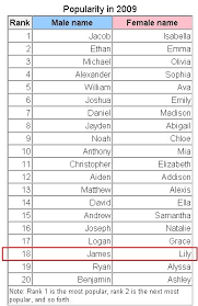 James And Lily Potter Tied In Top Baby Names 2009 Lily Potter Harry Potter Fantastic Beasts Harry Pitter