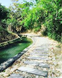 去台中只知道高美濕地已經落伍啦 在地最強清單曝光 這12個清爽新秘境更值得一訪 旅遊 台中 景點 住宿 青旅 道禾六藝館 忠信市場 審計新村 外埔忘憂谷 知高圳步道 大雅麥田 龍貓隧道 麗水漁港 圓滿教堂 perbed 有張床 風傳媒 葉亭儀