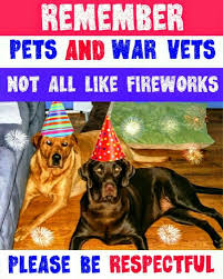 Pets And War Vets Not All Like Fireworks Please Be Courteous In Your Neighborhood Pets Dog Blog Losing A Pet
