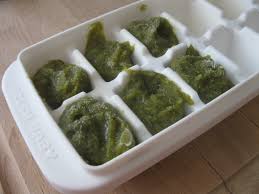 Home › healthy kids › homemade baby food recipes: Adventures With Baby Food Green Beans And Pumpkin Sweet Savory Southern