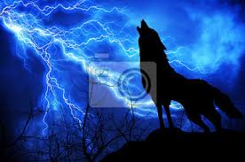 Bouřky jsou vázány na cumulonimby. Vlk Silueta Vyjici Na Bourka Fototapeta Fototapety Proud Vyti Kvilivy Myloview Cz