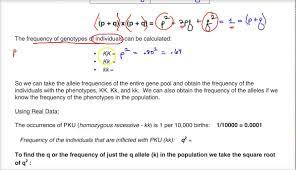 P2 + 2pq + q2 = 1 p + q = 1 p = frequency of the dominant allele in the population q = frequency of the recessive. Hardy Weinberg Practice Problems Answer Key