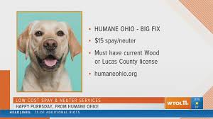 Both spaying and neutering refer to the surgical sterilization of an animal. It S Purrsday With Humane Ohio And The Big Fix Is Underway For Pups Wtol Com