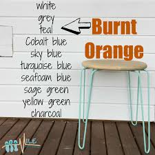 burnt orange goes with in 2019 orange couch color