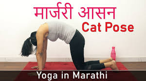 Yoga In Marathi Cat Pose Yoga Asana Marjariasana In Marathi Yoga Poses For Weight Loss Youtube