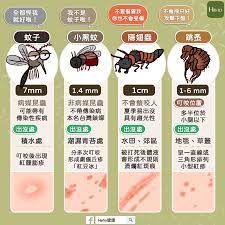 這些不是蚊子咬！臺灣夏季常見８種蟲蟲危機- Heho健康