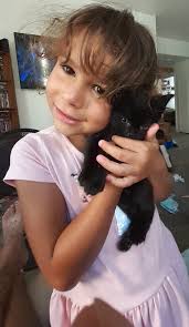 Introducing German Shorthaired Pointer lab mix puppies