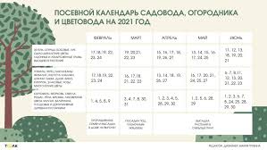 По инициативе организаций, связанных со сферой производства и обслуживания лифтов. Plohie I Horoshie Dni Po Lunnomu Kalendaryu Ogorodnika Na Fevral 2021 Goda