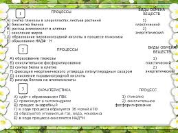 Metabolizm Processy Vidy Obmena Veshestv Prezentaciya Onlajn