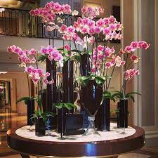 Beverly Hills Hotels Hotel In Beverly Hills Beverly Wilshire Hotel Flower Arrangements Hotel Flowers Orchid Flower Arrangements
