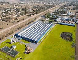El pronóstico del tiempo más actualizado en coronel suarez: Smurfit Kappa Coronel Suarez Molino Packaging Manufacurer