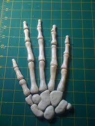 How To Make A Skeleton Model Out Of Clay Skeleton Hand Polymer Clay Halloween Human Body Projects Hand Sculpture
