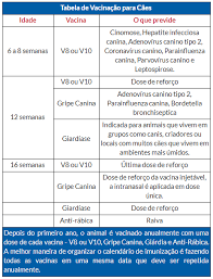 Qual vacina deve ser aplicada? Snabdjeti Hranom Ucinit Ce Prikladan Perdi A Carteira De Vacinacao Do Meu Cachorro Thehoneyscript Com