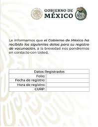 Se recomienda que acudan a la vacuna desayunados e hidratados. Https Mivacuna Salud Gob Mx Pdf Registro Vacuna Imgns C6 Pdf