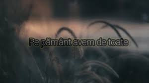 Pe pământ avem de toate. Vlad Isepciuc Pe Pamant Avem De Toate Youtube