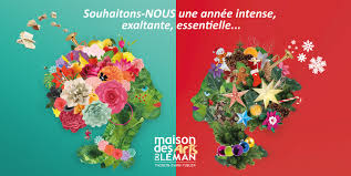 Maison Des Arts Du Leman Theatre Thonon Les Bains 1 Avis 3 314 Photos Facebook