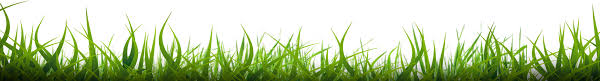 We did not find results for: Our Crew Caribbean Lawn Services Vero Beach Fl