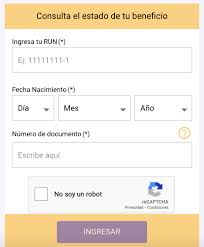El organismo paga hoy el ingreso familiar de emergencia, asignación universal por hijo y por embarazo, asignaciones familiares, jubilaciones, pensiones, tarjeta alimentar y programas atp, hogar y becas progresar. Ya Comenzo Pago De Marzo De Ingreso Familiar De Emergencia Y Bono Covid Revisa Aqui Si Lo Recibiste Economia Biobiochile