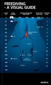 A Visual Guide To Freediving Suuntodive Apr 15 2015 In