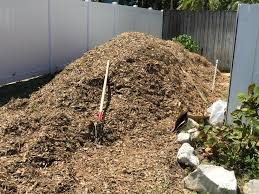 Check spelling or type a new query. Just Got A Mountain Load Of Free Wood Chips From A Local Arborist Gardening