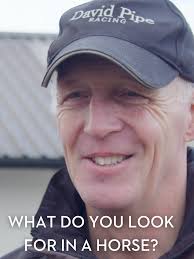 ¿Qué buscan los entrenadores en sus caballos?