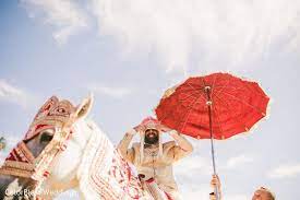 Elegant Indian Groom Riding Baraat White Horse Outdoor Indian Wedding Indian Groom South Indian Bride Hairstyle