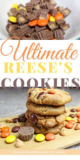 Looking For A Cookie Recipe That Covers Every Craving You Have It Has Chocolate Butterscotch And Peanut Butter Choc In 2020 Dessert Recipes Recipes Reeses Cookies