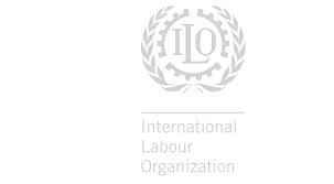 السلام عليكم، امي متحدثه باللغه العربيه، ولكن تحتاج الي. Asdr 2020 Arab Sustainable Development Report 2020