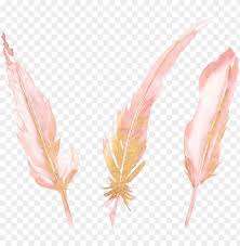 Feather watercolor wreath vectors (58). Feather Watercolor Pink Gold Watercolorfeather Sticker Watercolor Painti Png Image With Transparent Background Toppng