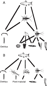 A description of the interaction of living things within the grassland. Simplified Representation Of Food Webs From A A Grassland Stream Kye Download Scientific Diagram