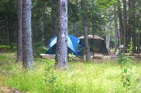 Henry cowell state park camping. Camping In Henry Cowell Redwoods State Park Mountain Parks Foundation