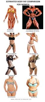 What is a normal body weight for a woman? Body Fat Percentage Comparisons For Men Women