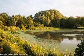 Zoek je een restaurant in de omgeving van molsbroek lokeren? Excellent Review Of Molsbroek Lokeren Belgium Tripadvisor