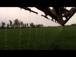 Chafer Stream Bars Post Applying Liquid Nitrogen To Wheat