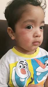 Good day Where in Harare can I find oat milk for children allergic to cows  milk