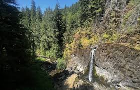 Best forest trails in Otis