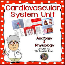 Posted in coloring pages tagged anatomy and physiology coloring workbook chapter 6 the muscular system answers, anatomy and physiology coloring workbook answer key chapter 16, anatomy and physiology coloring workbook answer key, heart anatomy and physiology quizzes, anatomy and physiology quizzes, free anatomy and physiology quizzes, anatomy. Cardiovascular System Unit Circulatory System Unit Human Body Systems