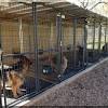 Our predator proof dog kennels will keep out coyotes, bobcats, mountain lions, wolves, hawks and other birds of prey. 1