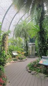 Check spelling or type a new query. Butterfly Garden Terminal 3 At Changi Airport Lovely Butterfly And Flower Picture Of Butterfly Garden Singapore Tripadvisor