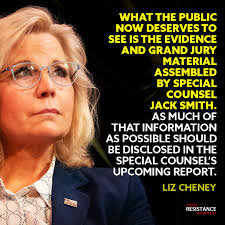 The Democratic Coalition