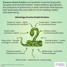 What does it mean to dream about snakes? Dreams About Snakes 60 Types Their Meanings Snake Dream Meaning
