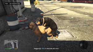 Qualche giorno fa, una signora (che chiameremo giovanna per tutelarne l'identità) ha deciso di raccontare con un post su fb quanto le è accaduto durante il e poi il mio cane non c'entrava nulla: Chop Che Scopa Con Un Cane Maschio Gta 5 Youtube