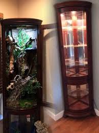Reptile Cage Curio Cabinet That Would Be Great For A Chameleon Cabinet Cage Chameleon In 2020 Reptile Room Reptile Terrarium Animal Room